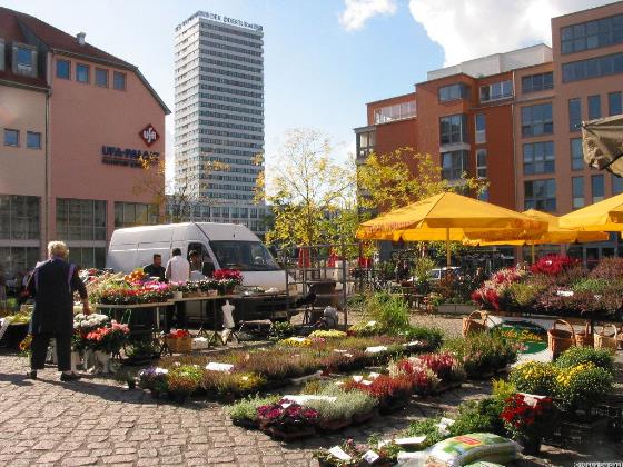 Rathaus12Markt.jpg