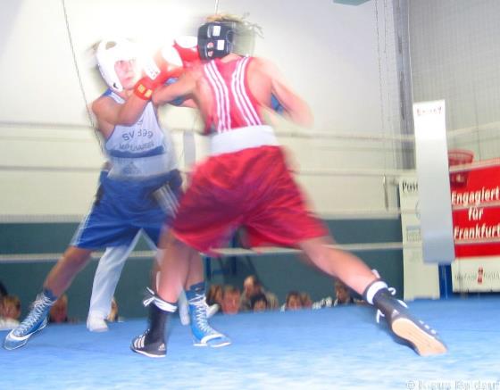 Boxen01Nachwuchs.jpg