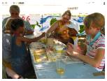 Hansefest621So_Kinderstrecke.jpg
